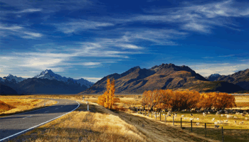 Định cư New Zealand có dễ không khi bạn biết tiếng bản địa?
